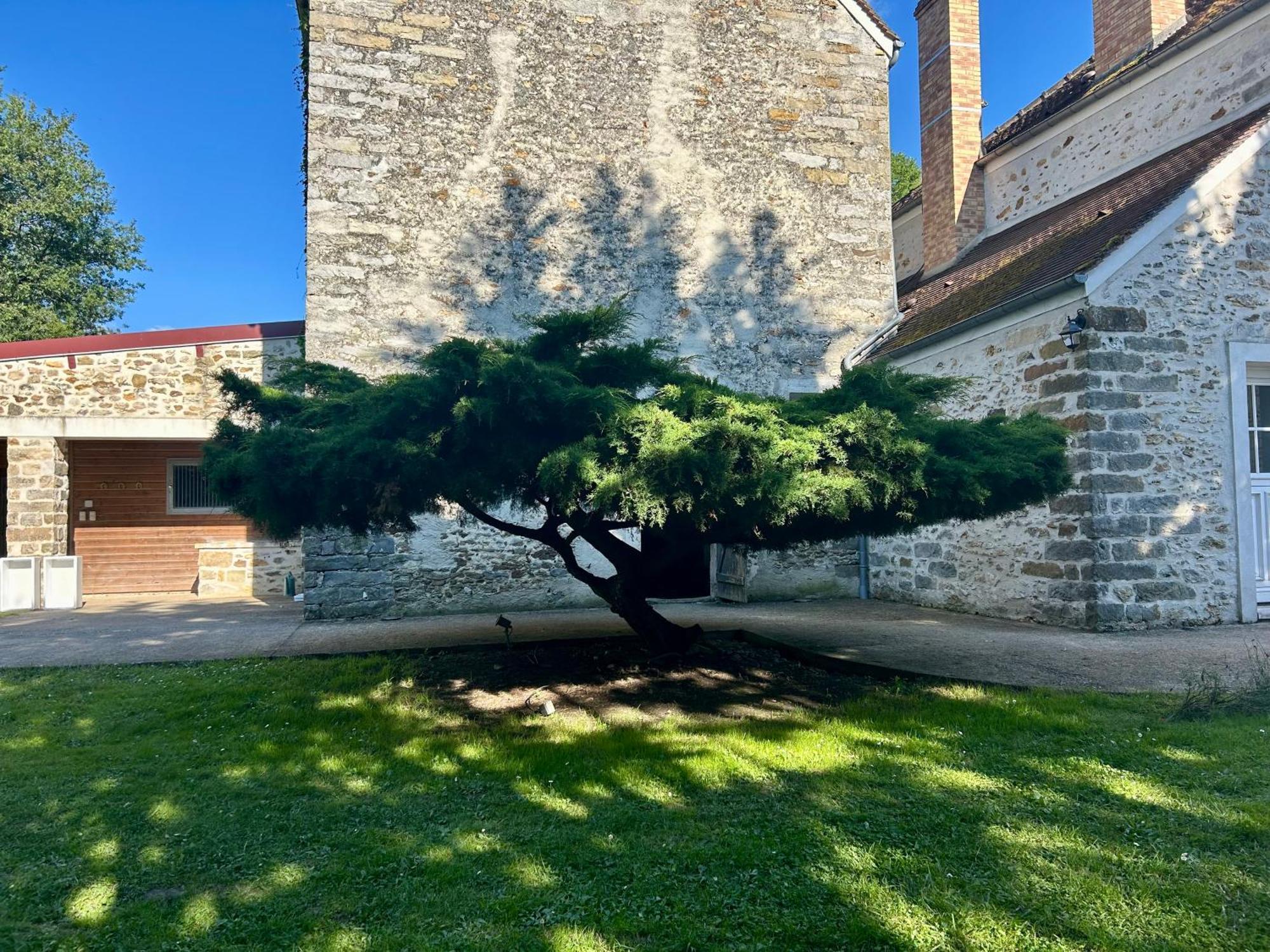 Apartmán Le Domaine De Brie Chatillon-la-Borde Exteriér fotografie